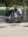 ref. photo 4014531