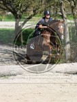 ref. photo 4014535