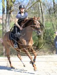 ref. photo 4014536