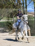ref. photo 4014543