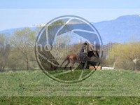 ref. photo 4014558