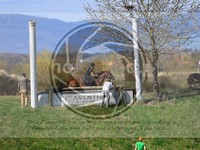 ref. photo 4014559
