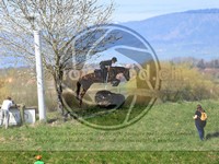 ref. photo 4014560