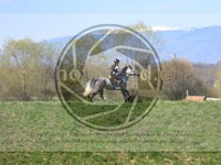 ref. photo 4014563