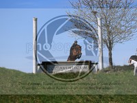 ref. photo 4014570