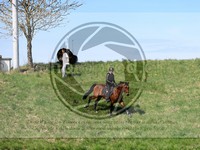 ref. photo 4014572