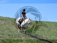ref. photo 4014578