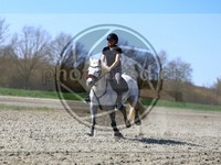 ref. photo 4014589