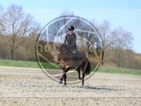 ref. photo 4014590