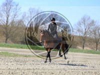 ref. photo 4014591