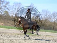ref. photo 4014592