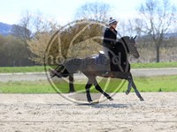 ref. photo 4014601