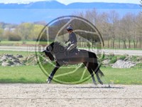 ref. photo 4014612