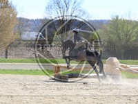 ref. photo 4014615