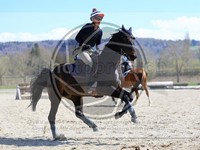 ref. photo 4014619