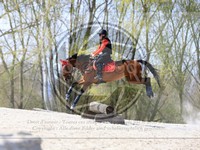 ref. photo 4014633