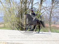 ref. photo 4014637