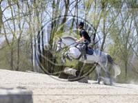 ref. photo 4014640