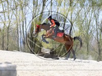 ref. photo 4014642