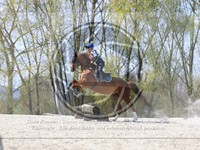 ref. photo 4014644