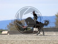 ref. photo 4014652