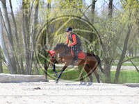 ref. photo 4014657