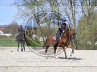 ref. photo 4014661