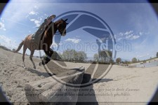 ref. photo 4014720