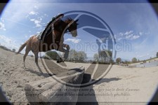 ref. photo 4014721