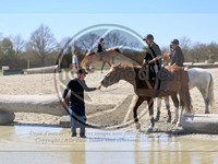 ref. photo 4014730