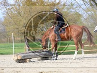 ref. photo 4014743