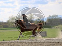 ref. photo 4014760