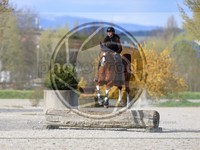 ref. photo 4014772