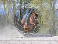 ref. photo 4014778