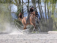 ref. photo 4014779