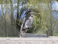 ref. photo 4014783