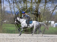 ref. photo 4014803