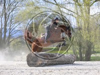 ref. photo 4014806