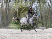 ref. photo 4014812