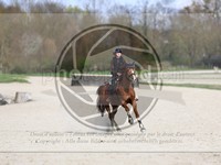 ref. photo 4014822