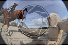 ref. photo 4014843