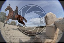 ref. photo 4014867