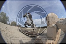 ref. photo 4014878