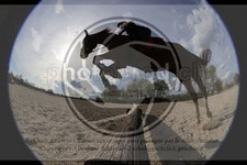 ref. photo 4014892