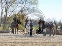 ref. photo 4014906