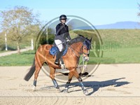 ref. photo 4014912