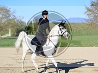 ref. photo 4014914