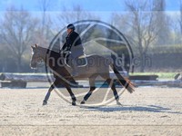 ref. photo 4014923