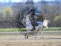 ref. photo 4014928