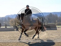 ref. photo 4014932
